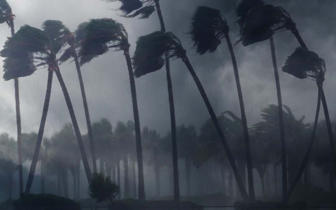 Preparing to Weather the Storm: Insurance Tips for Hurricane Season