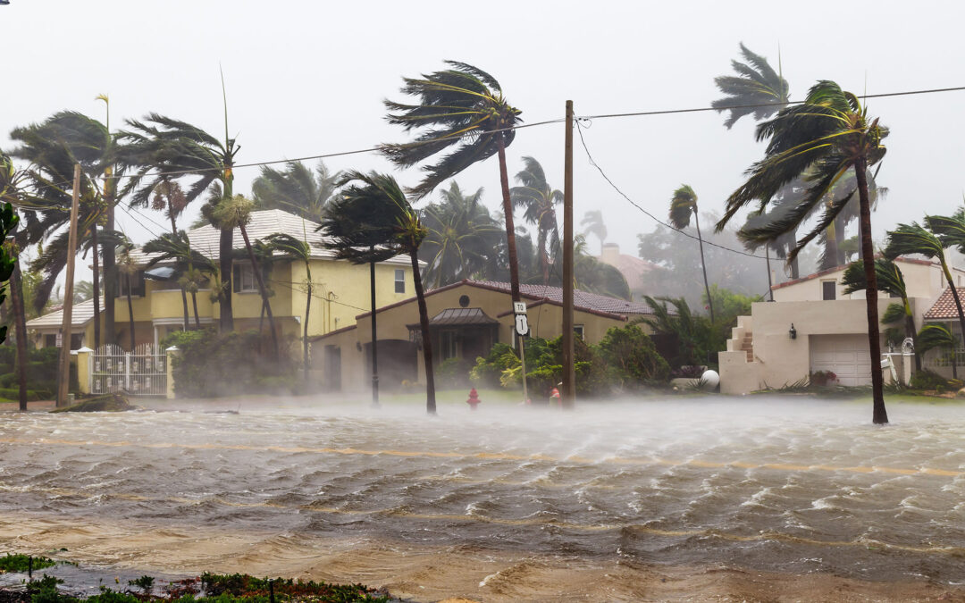 Weathering the Storm: Insurance Tips for This Hurricane Season