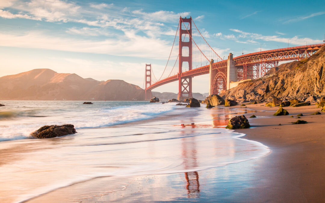 Filing a Claim: The Moment of Truth in Broker-Client Relationships